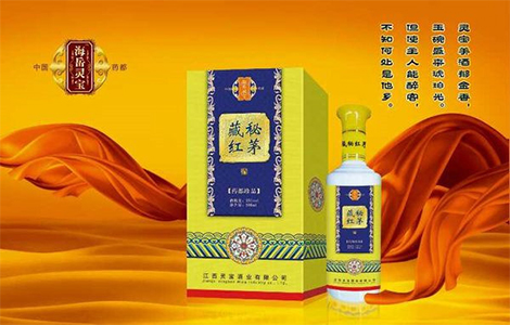 新(xīn)聞資訊
